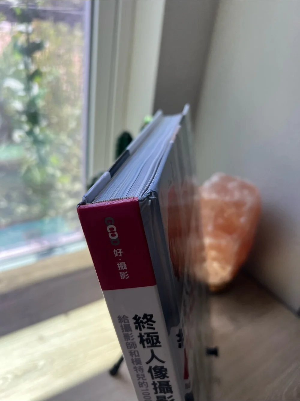 Photographing Models 1000 Poses Eliot Siegel Chinese Edition Photography Book